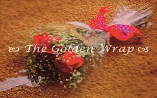 The Golden Wrap 015